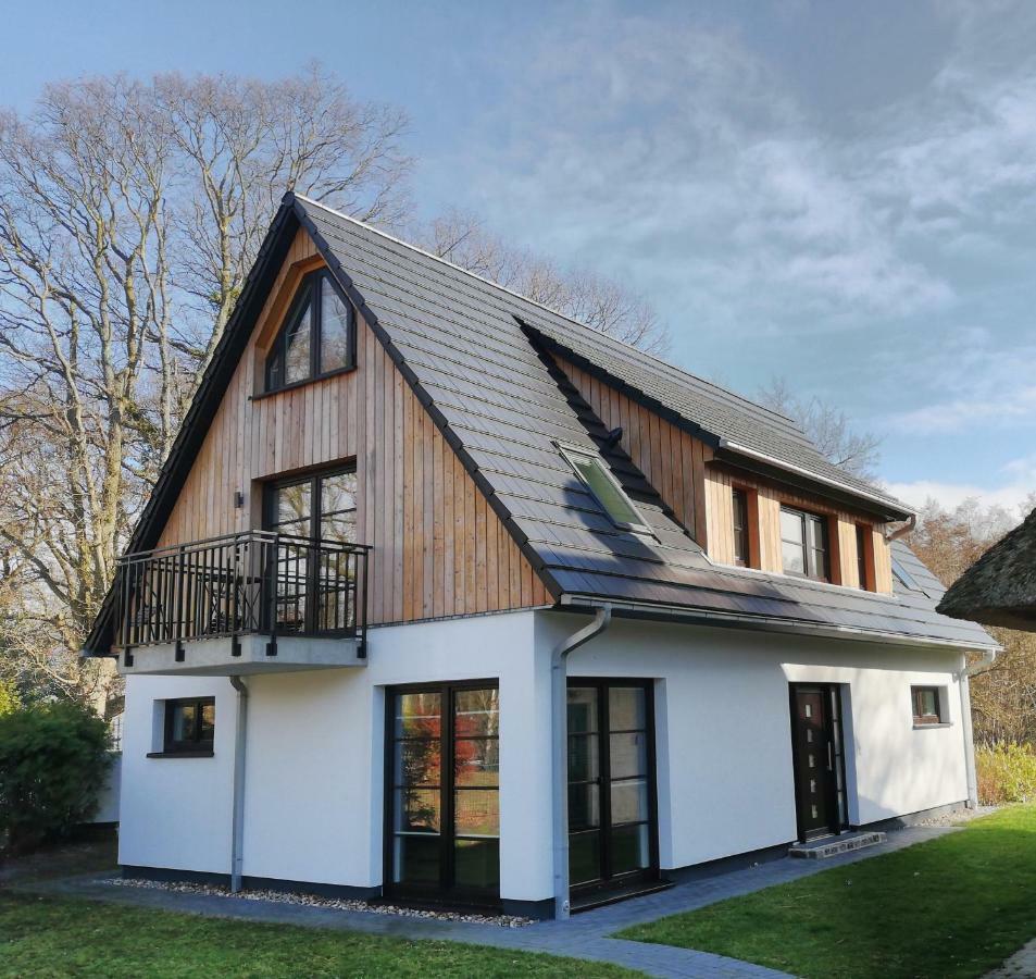 Darsser Strandgut - Haus Ahrenshooper Holz المظهر الخارجي الصورة