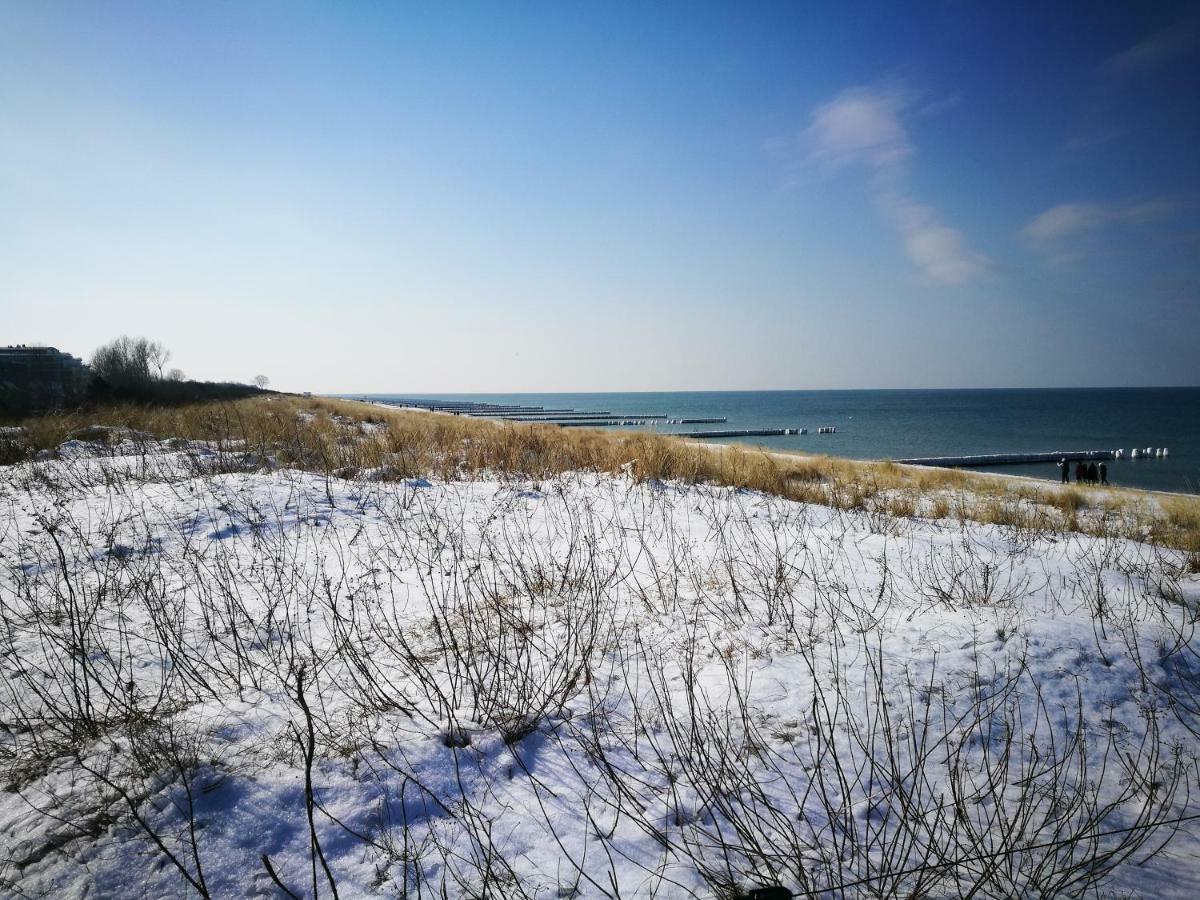 Darsser Strandgut - Haus Ahrenshooper Holz المظهر الخارجي الصورة