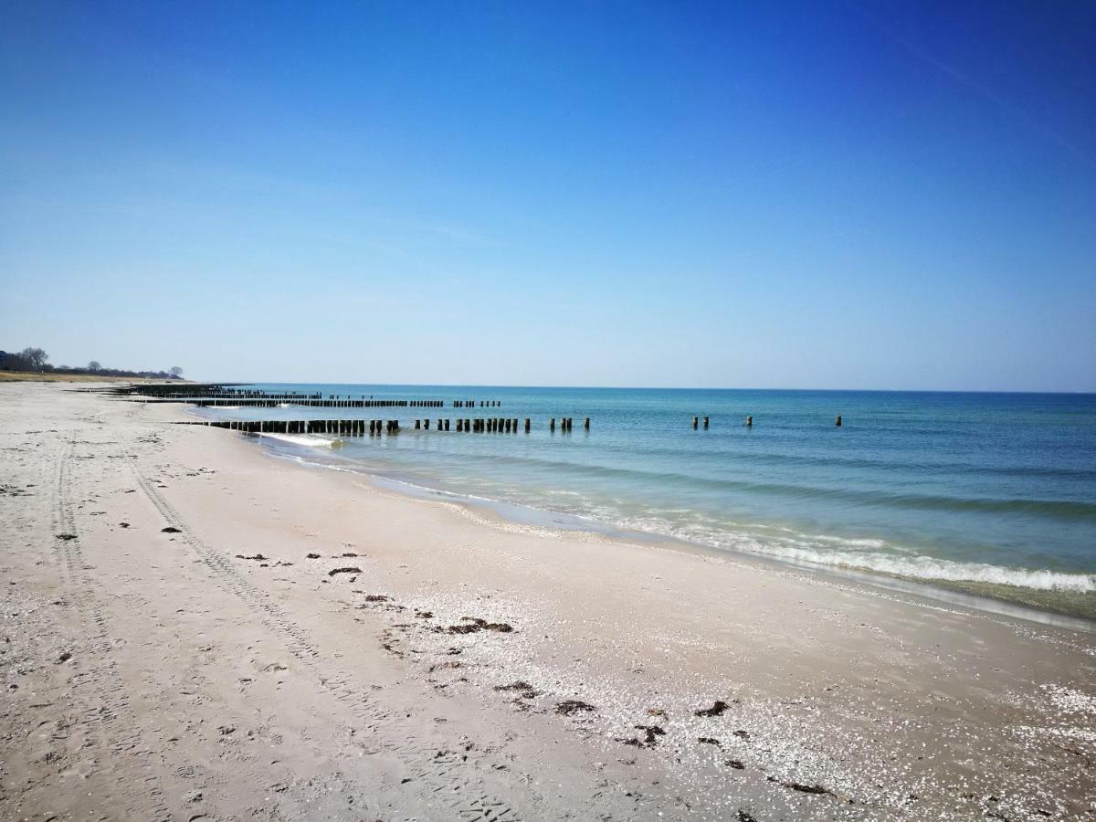 Darsser Strandgut - Haus Ahrenshooper Holz المظهر الخارجي الصورة